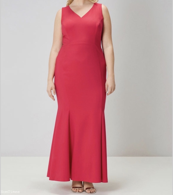 coast dresses size 22